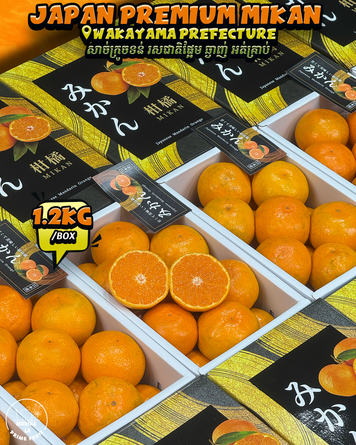 Japan Mikan Akashu Gift Box 1.2kg 