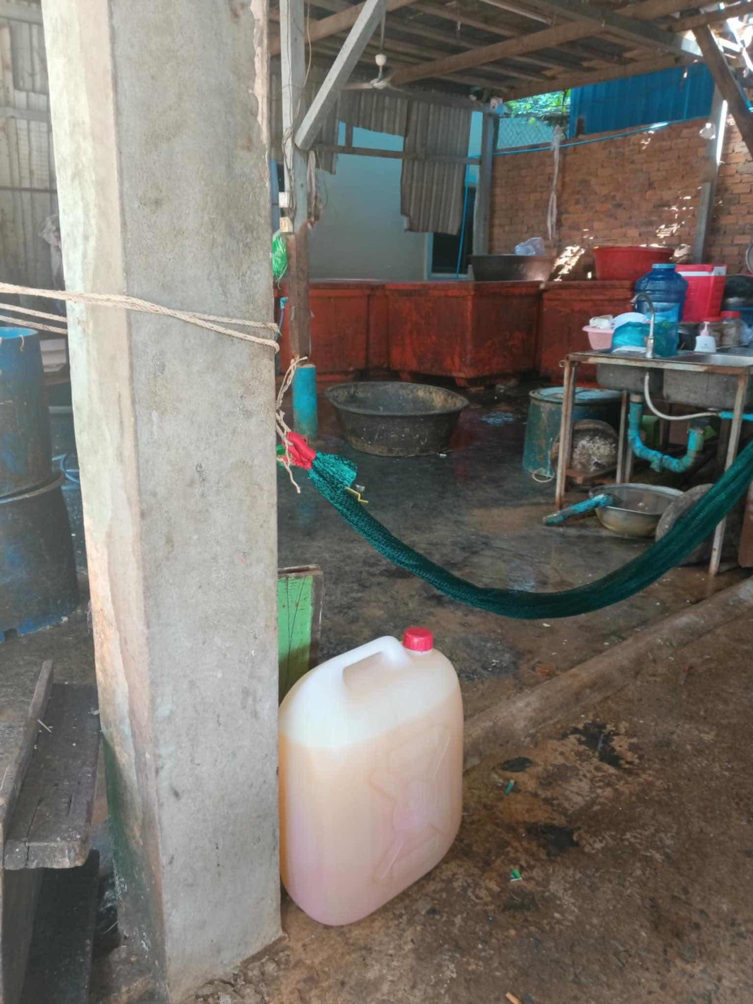 សាប៊ូ​លាងចាន​ បោកគក់​