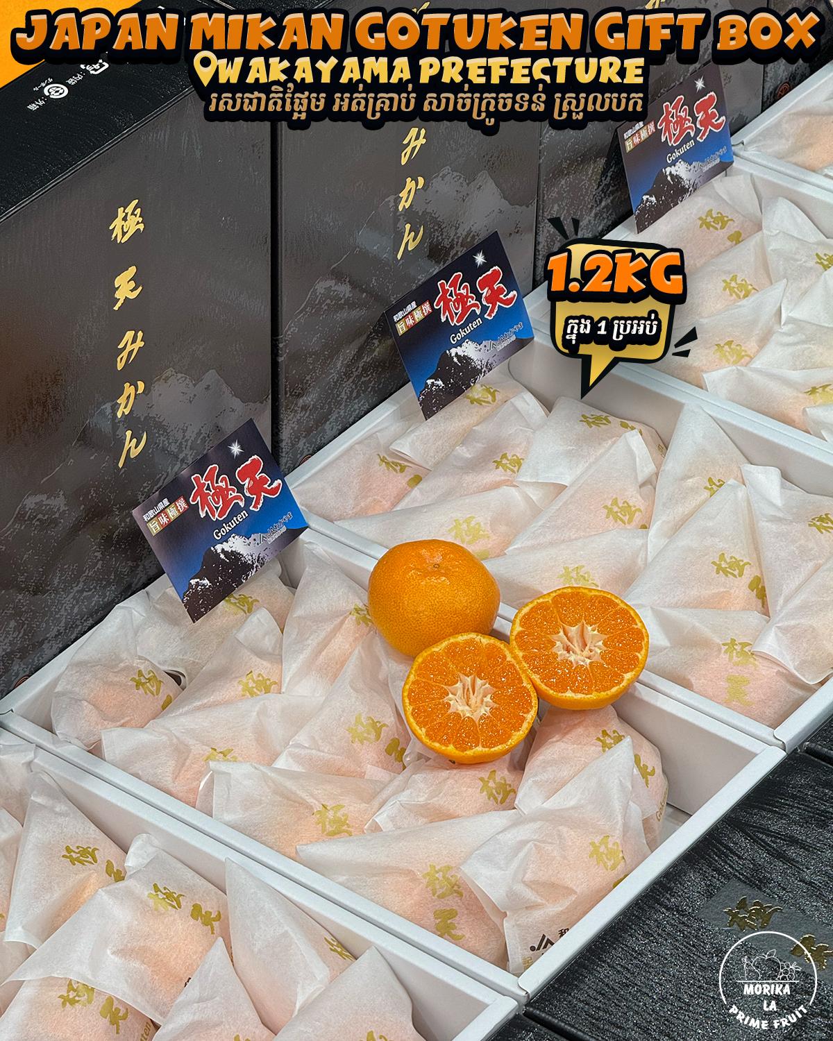 Japan Mikan Gotuken 1.2kg Gift Box 