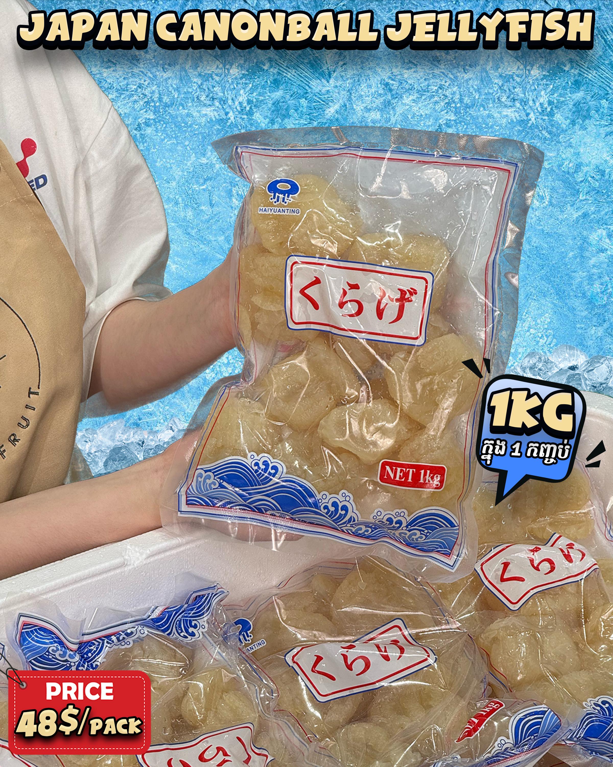 Japan Canonball Jellyfish 🪼 
