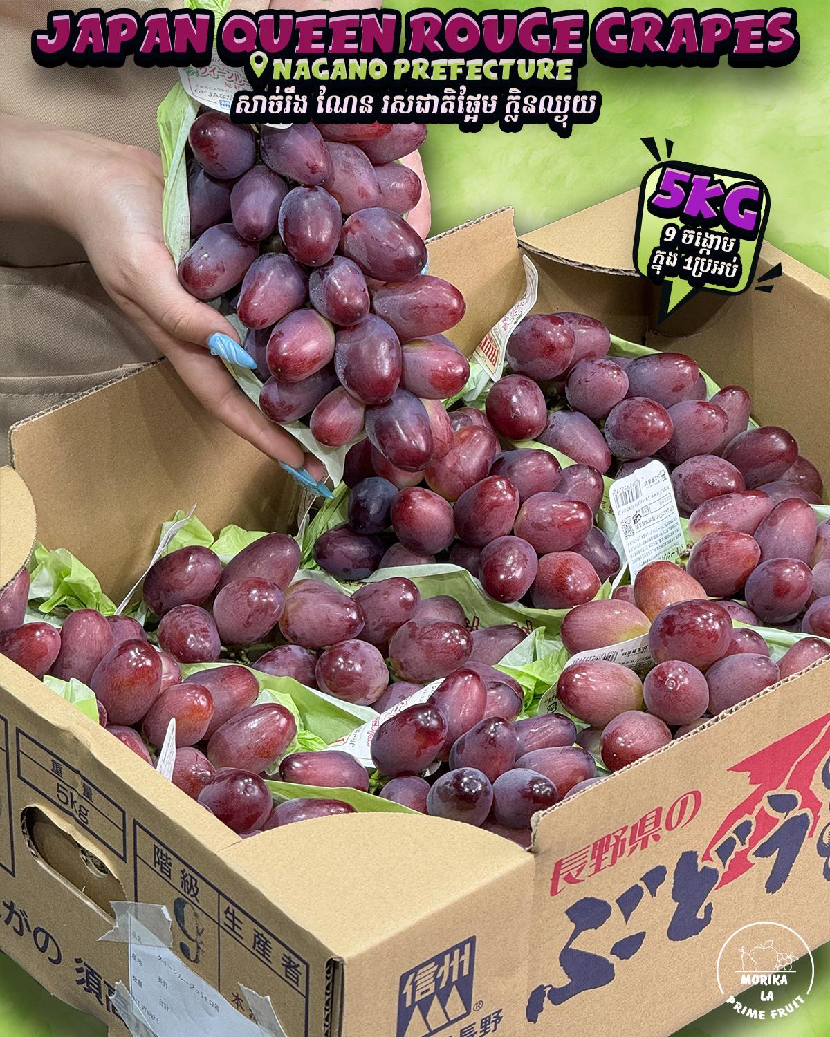 Japan Grapes Queen Rouge #9