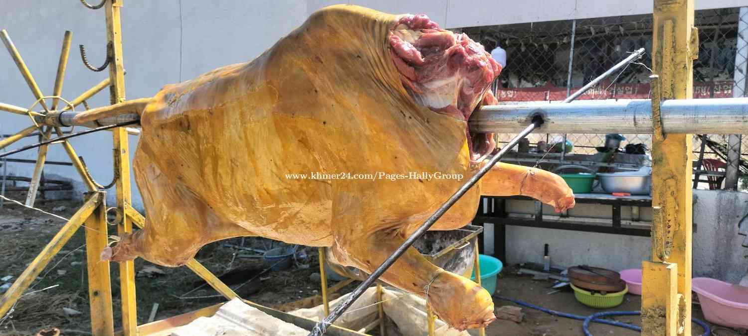 គោដុត