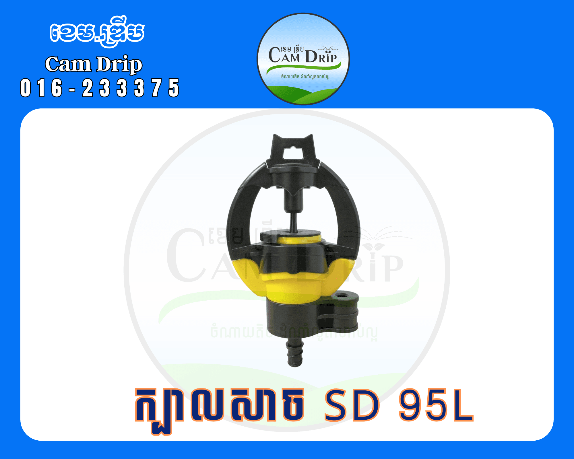 ក្បាលសាច SD