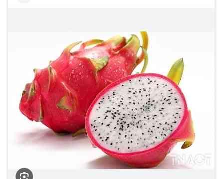 ផ្លែស្រការនាគ