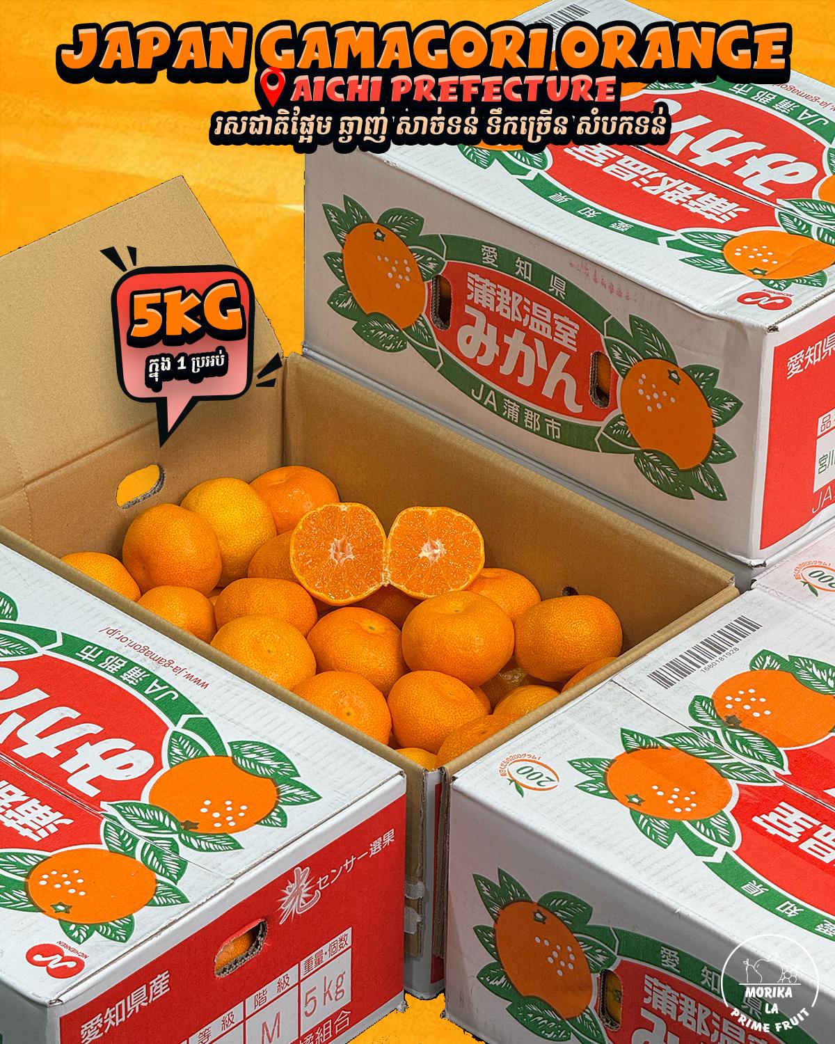 Japan Mikan Gamagori 5kg 🍊 
