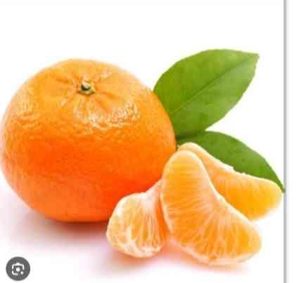 ផ្លែក្រូច