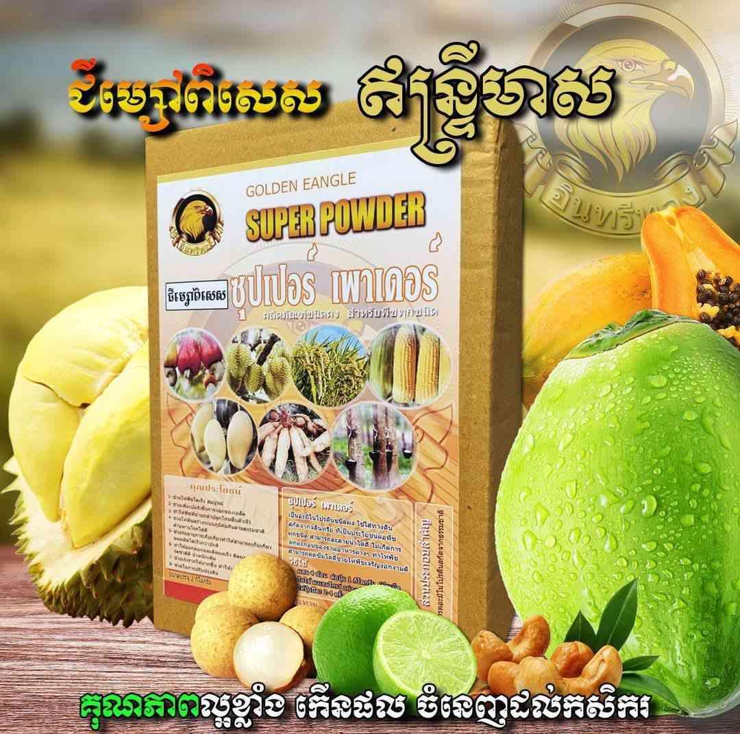 ជីម្សៅពិសេស