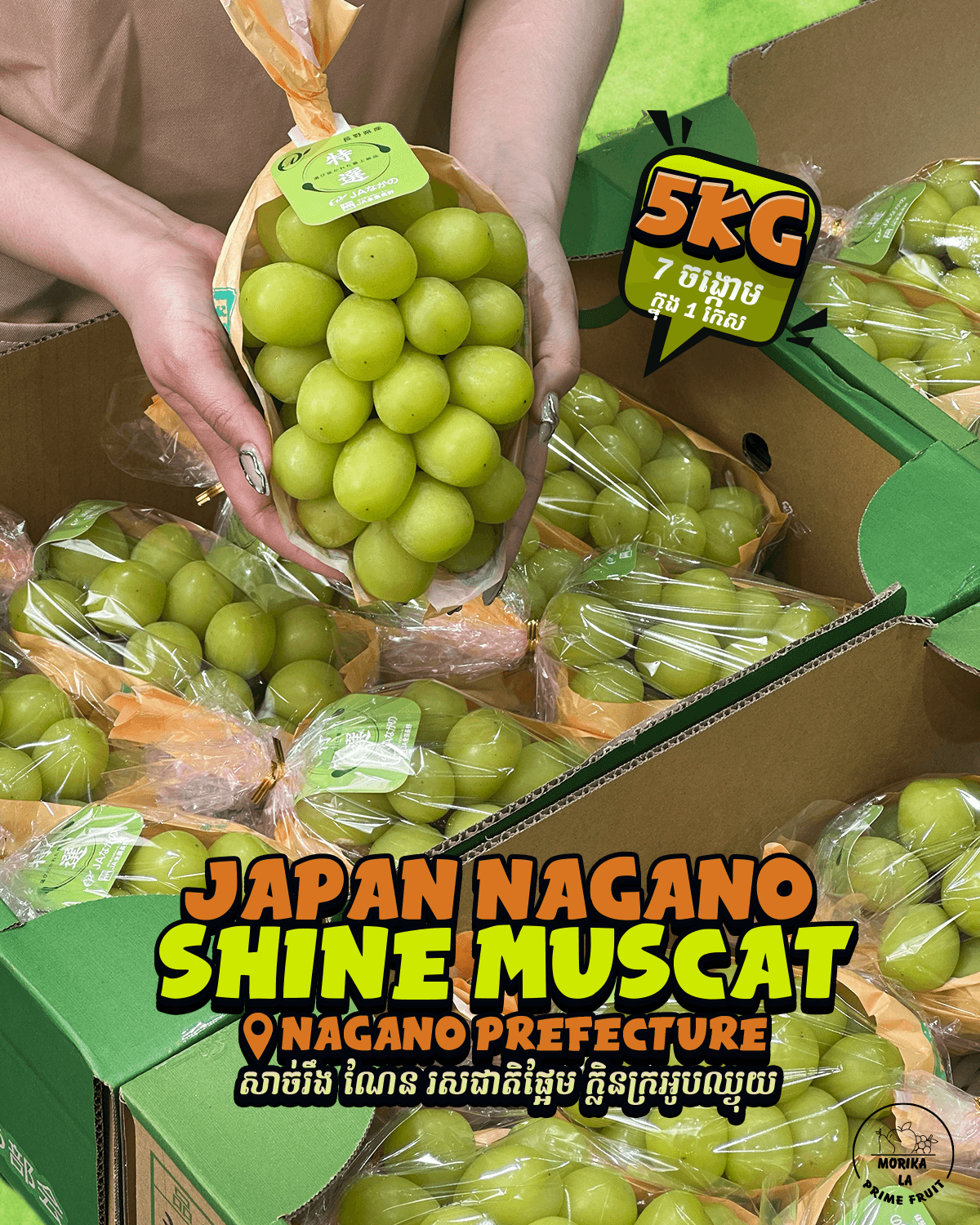 Japan Nagano Shine Muscat #8
