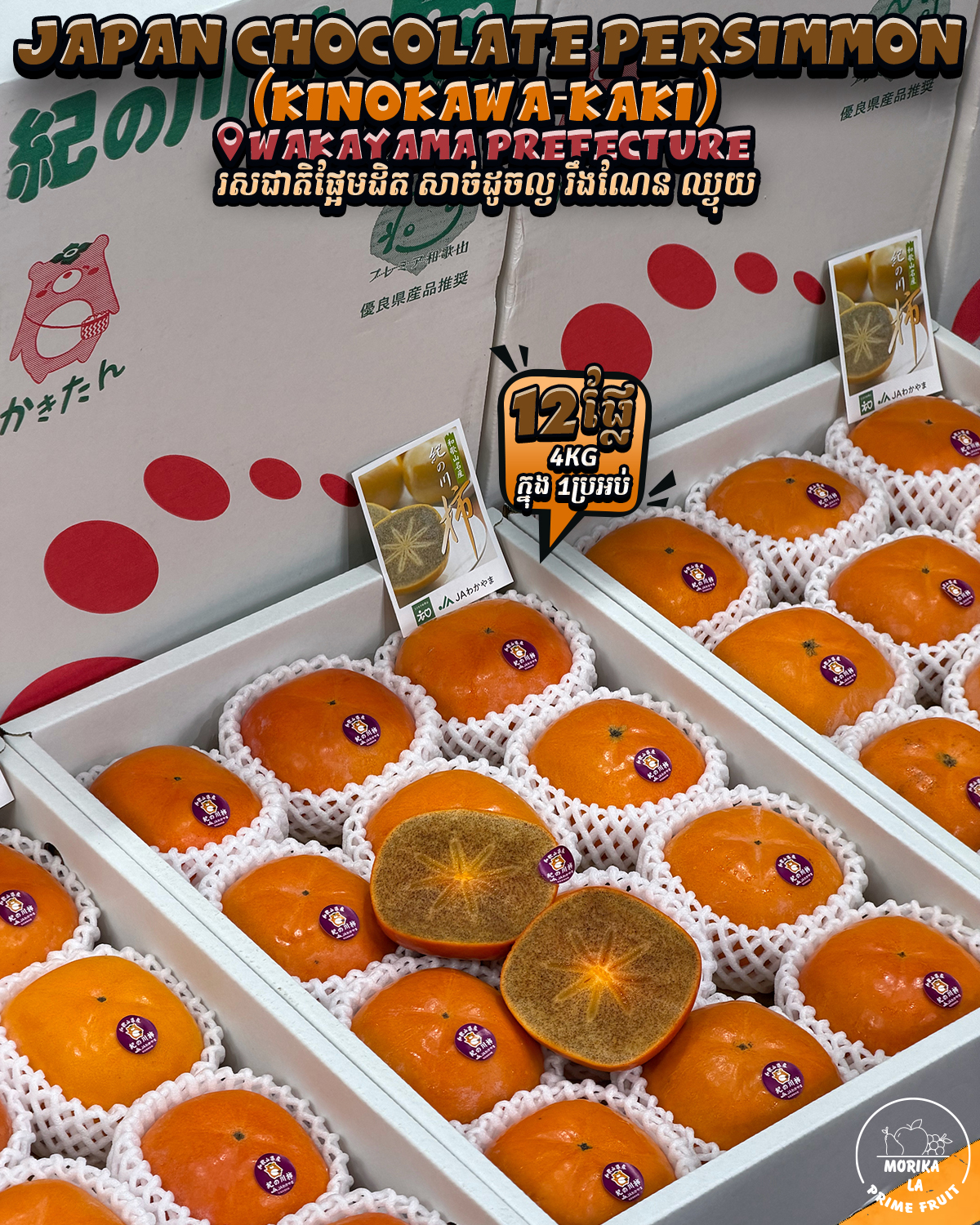 Japan Chocolate Persimmon KinoKawa 4kg 