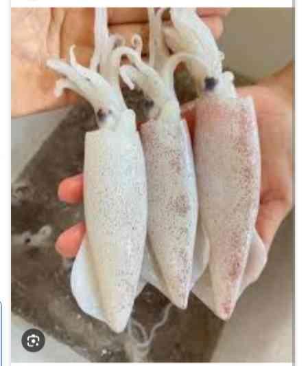 មឹក