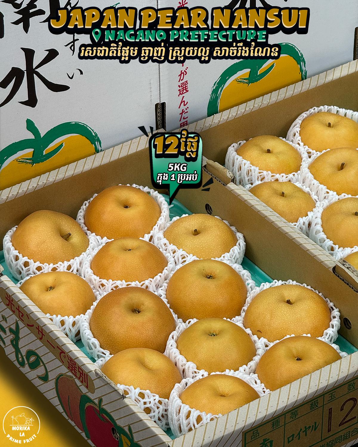 Japan Pear Nansui 5kg 