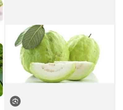 ផ្លែត្របែក
