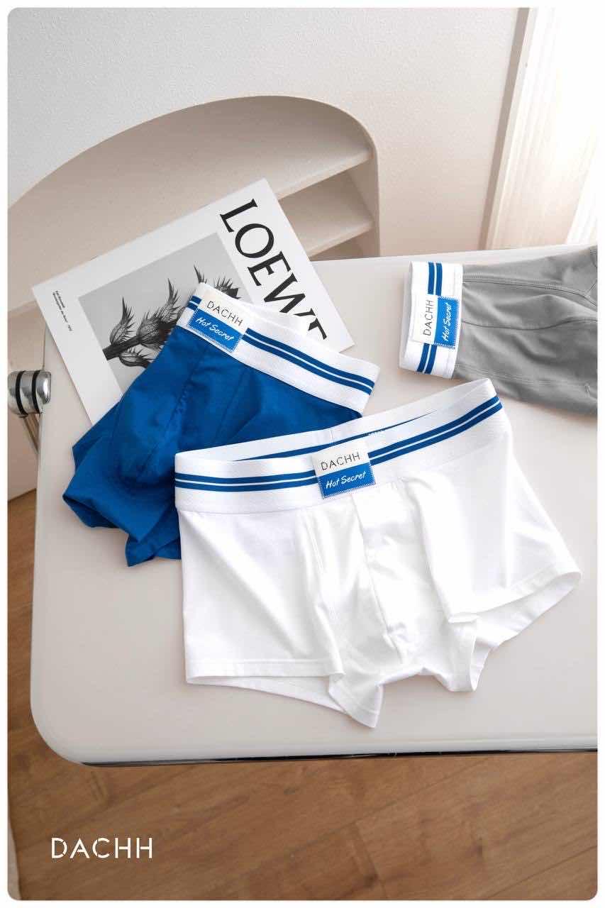 Boxer