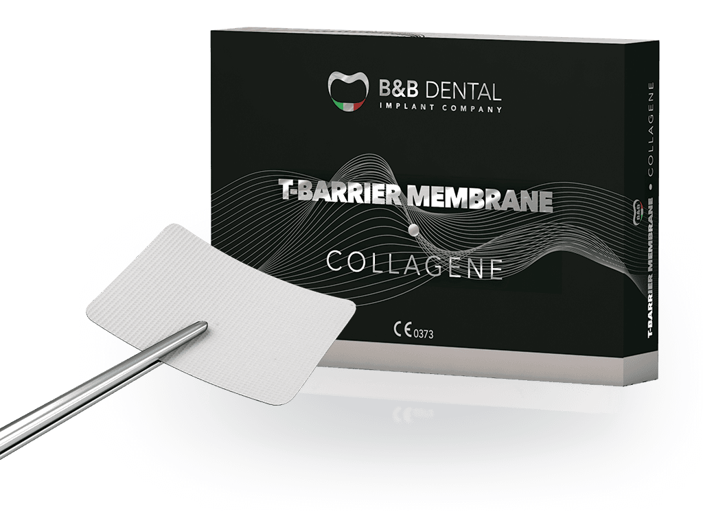 B&B Collagen membrane 15*20
