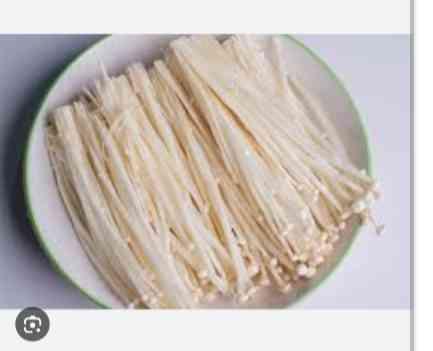 ផ្សិតម្ជុល