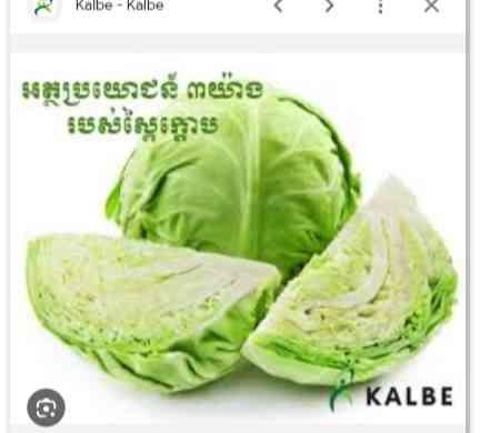ស្ពៃក្ដោប