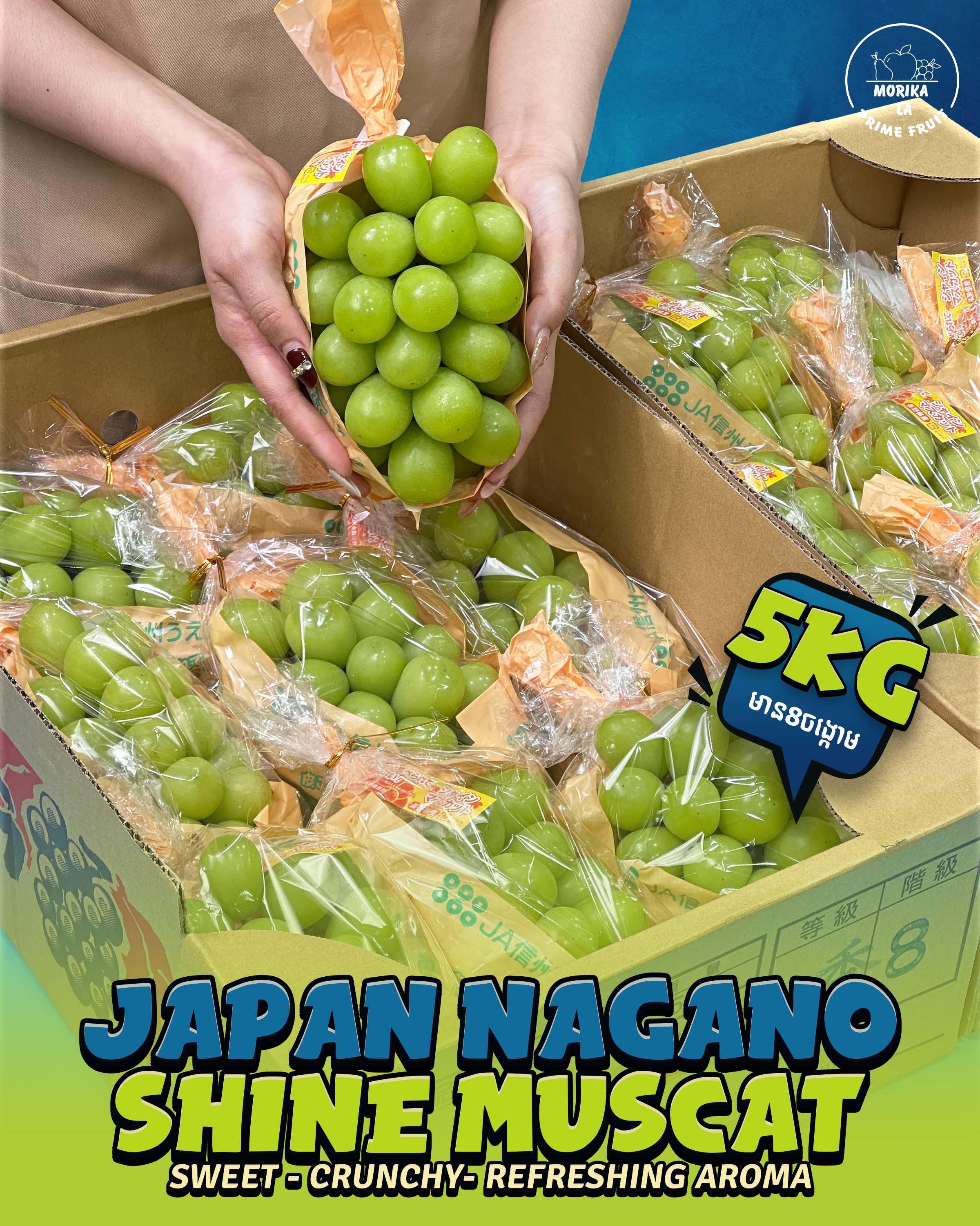 Japan Nagano Shine Muscat #8 