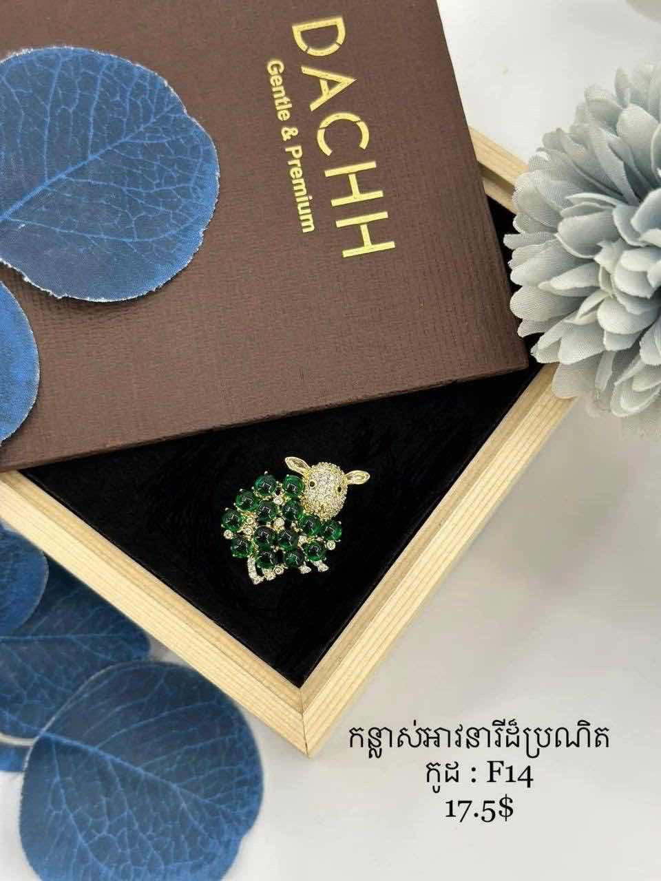 កន្ទាស់អាវធំ 