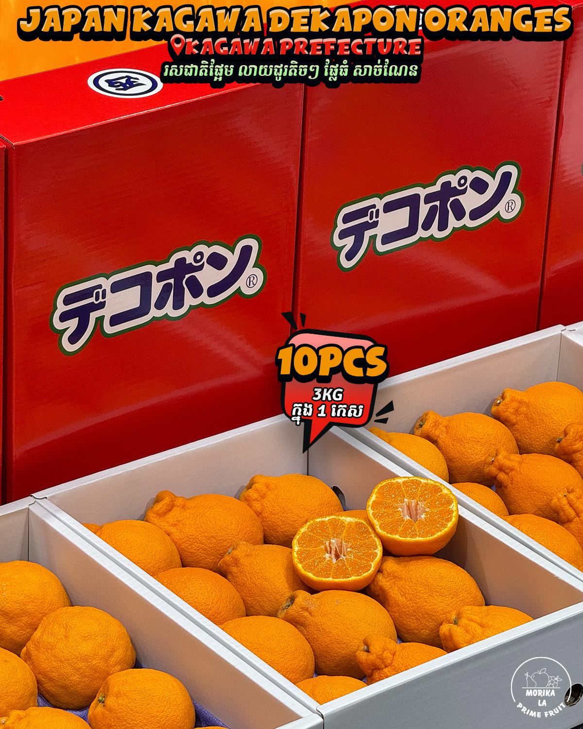Japan Dekapon Orange Kagawa 🍊 