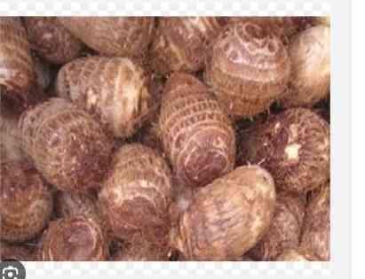 ត្រាវ