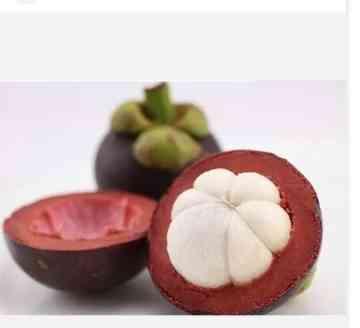មង្ឃុត គិតជាគីឡូ