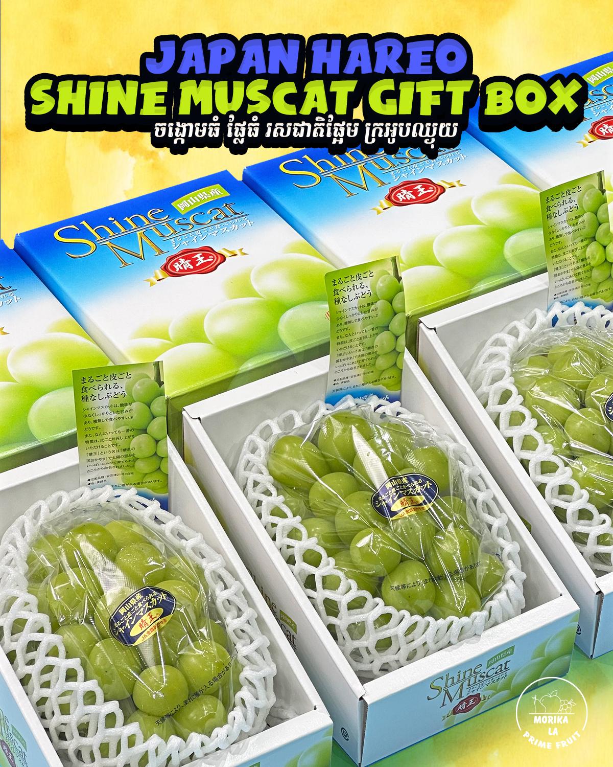 Japan Hareo Shine Muscat Gift Box 