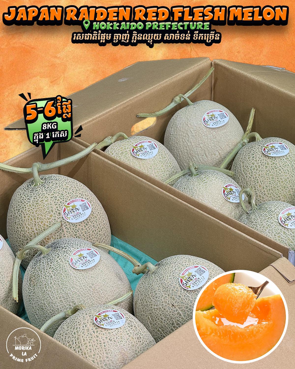 Japan Raiden Melon #6🍈 