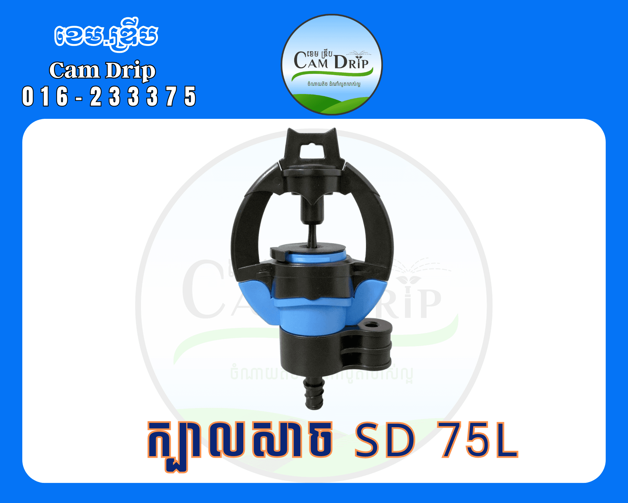 ក្បាលសាច SD