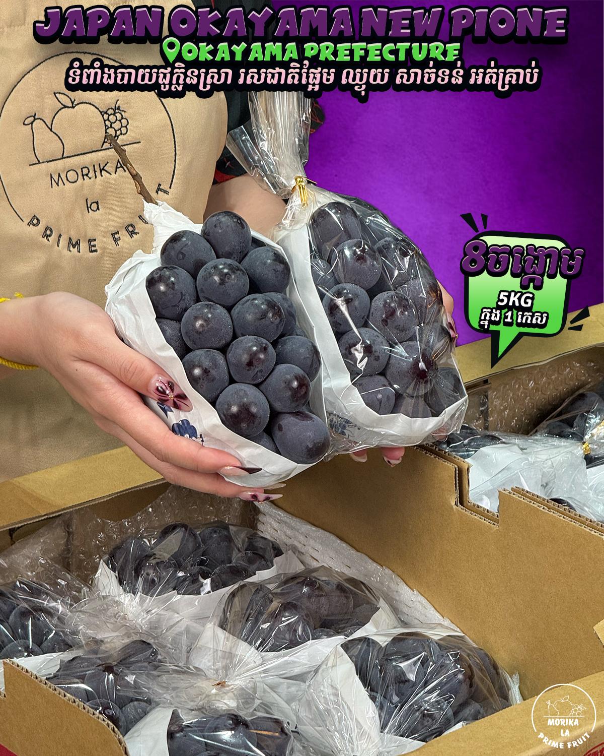 Japan Pione Okayama #8 🍇 
