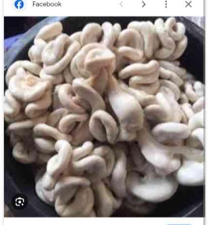ពោះតាន់