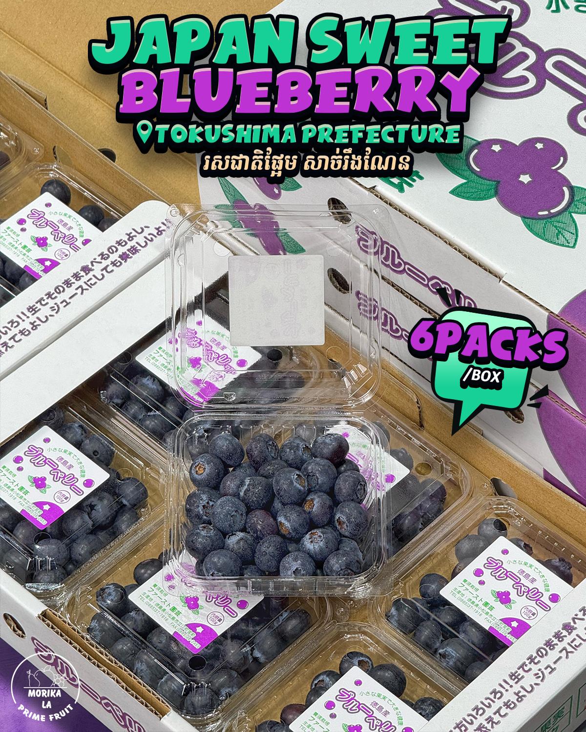 Japan Blueberry Tokushima 2L 🫐 