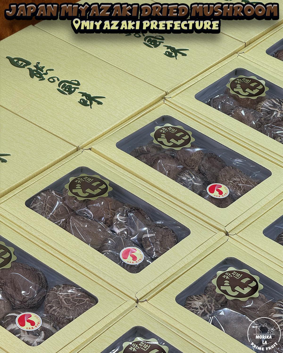 Japan Miyazaki Dried Mushroom 