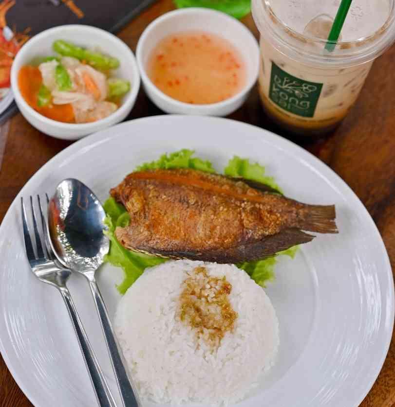 បាយត្រីកន្ធរ