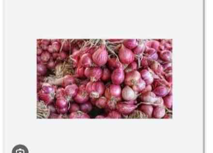 ខ្ទឹមក្រហម